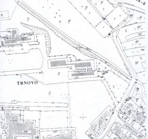 tloris1