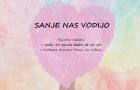 Sanje nas vodijo